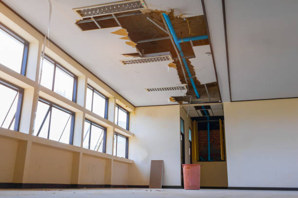 Best Professional water damage repair  in Evansville, WI