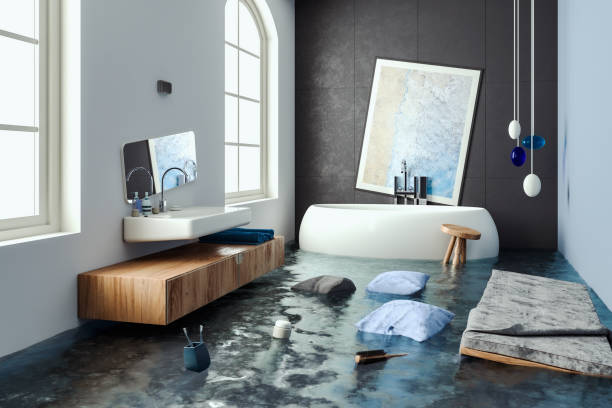 Best Professional water damage repair  in Evansville, WI