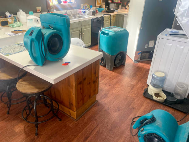 Best Commercial water damage restoration  in Evansville, WI