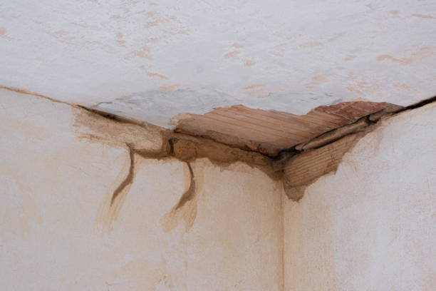 Best Flood restoration services  in Evansville, WI