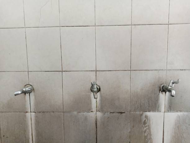 Best Local water damage restoration  in Evansville, WI