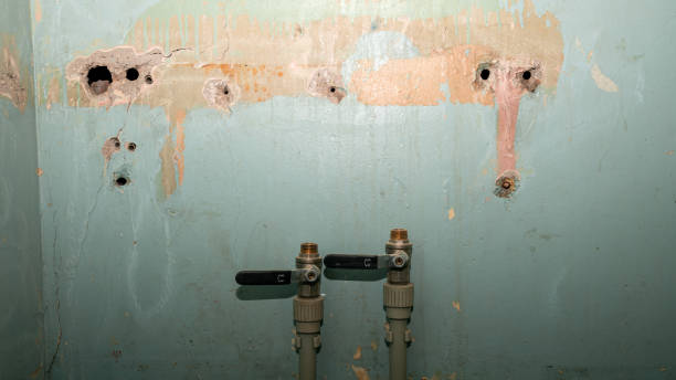 Best 24/7 water damage repair  in Evansville, WI
