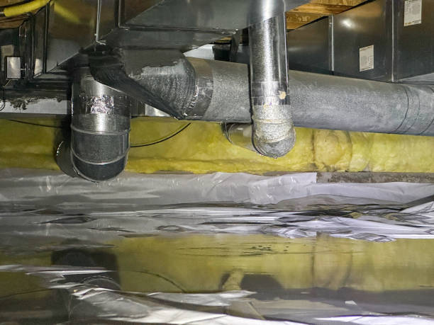 Best Mold removal after water damage  in Evansville, WI