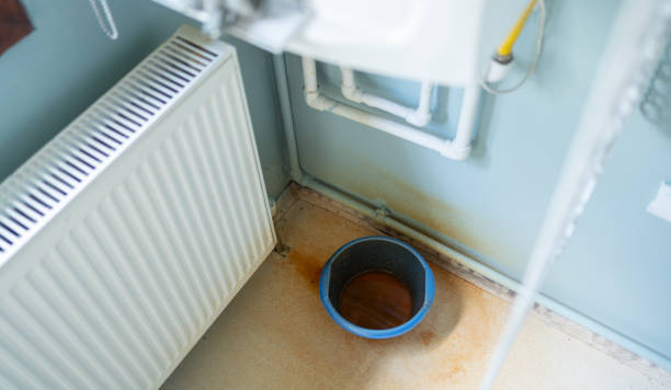 Best Flooded house restoration  in Evansville, WI