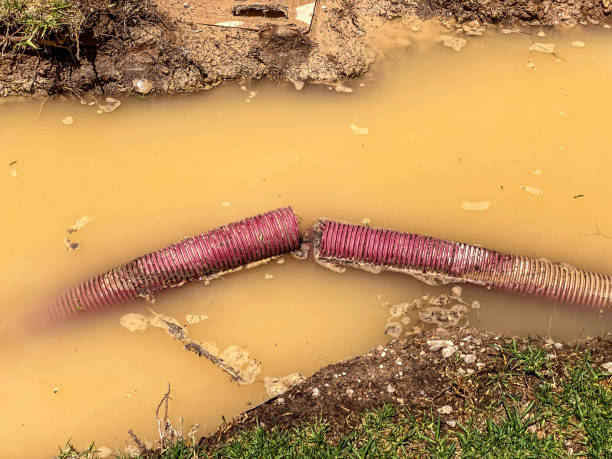Best Emergency water damage restoration  in Evansville, WI